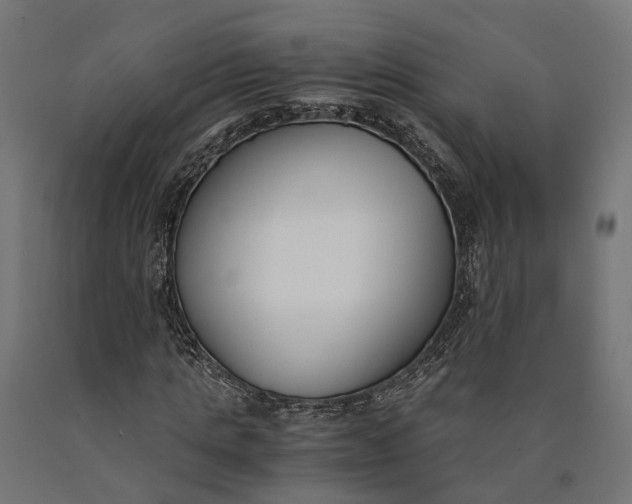 X0000090740821200708031544