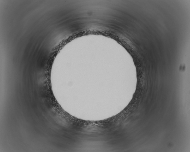 X0000090740824200708031544