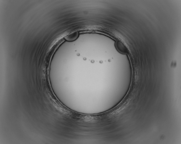 X0000090740827200708031544