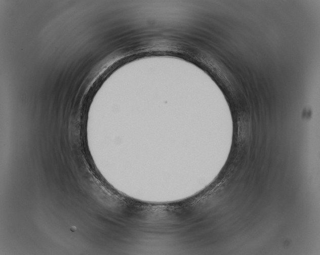 X0000090740828200708031544