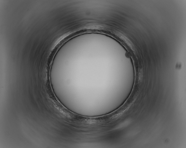 X0000090740829200708031544