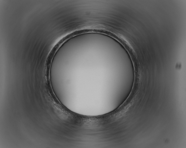 X0000090740830200708031544