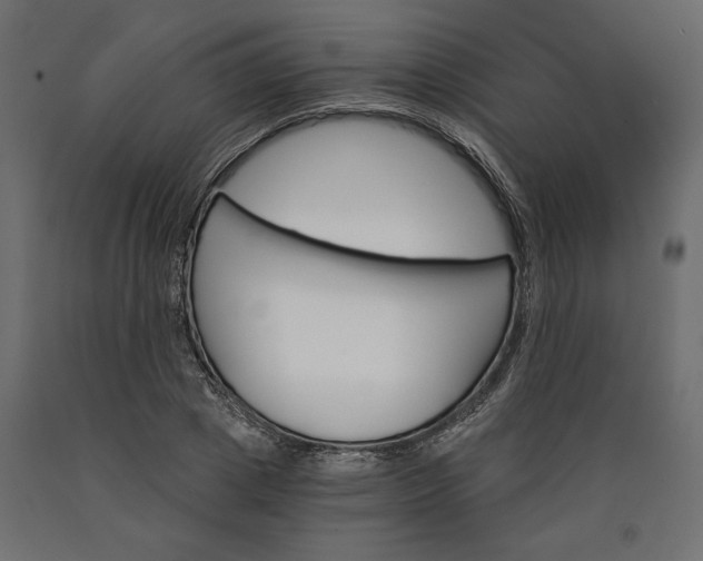 X0000090740833200708031544