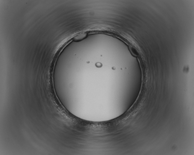 X0000090740834200708031544