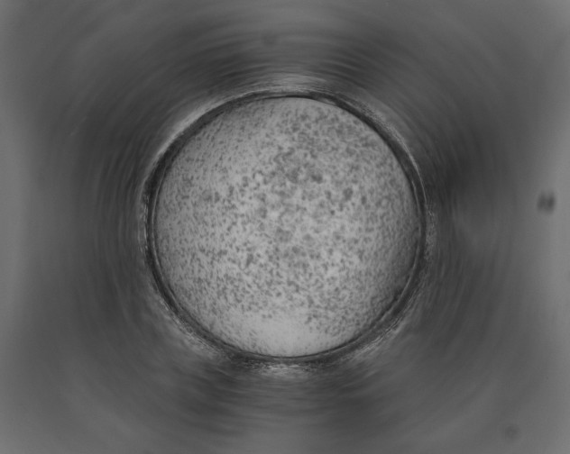 X0000090740835200708031544