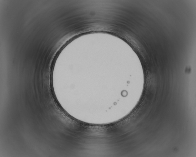 X0000090740836200708031544