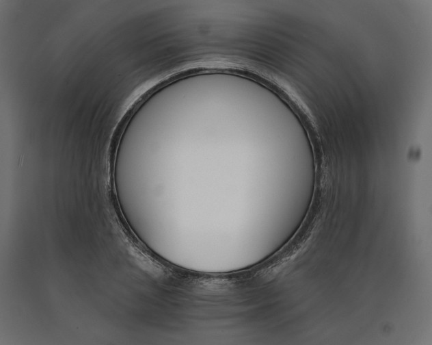 X0000090740837200708031544