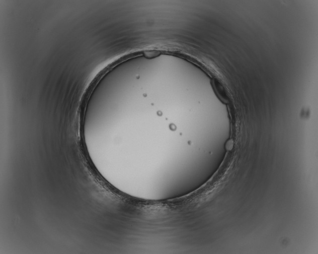 X0000090740838200708031544