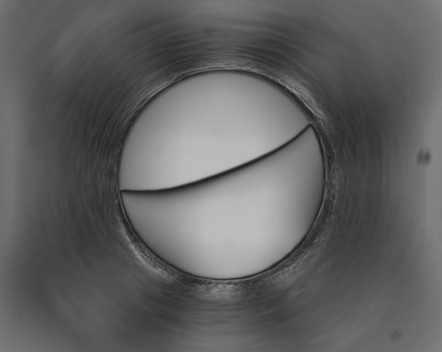 X0000090740841200708031544