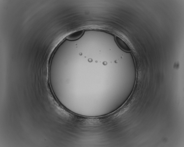 X0000090740844200708031544