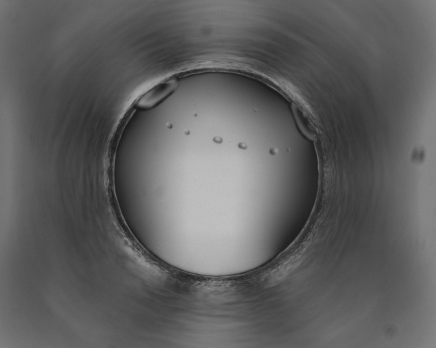 X0000090740846200708031544