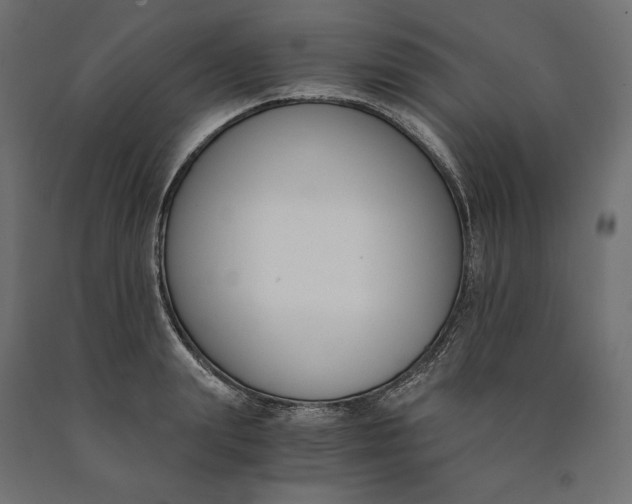 X0000090740847200708031544