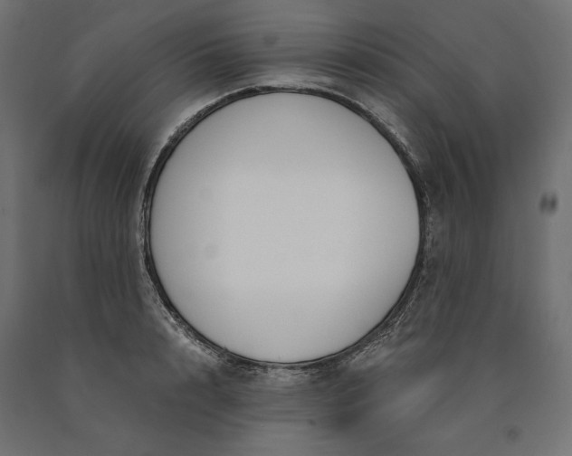 X0000090740848200708031544