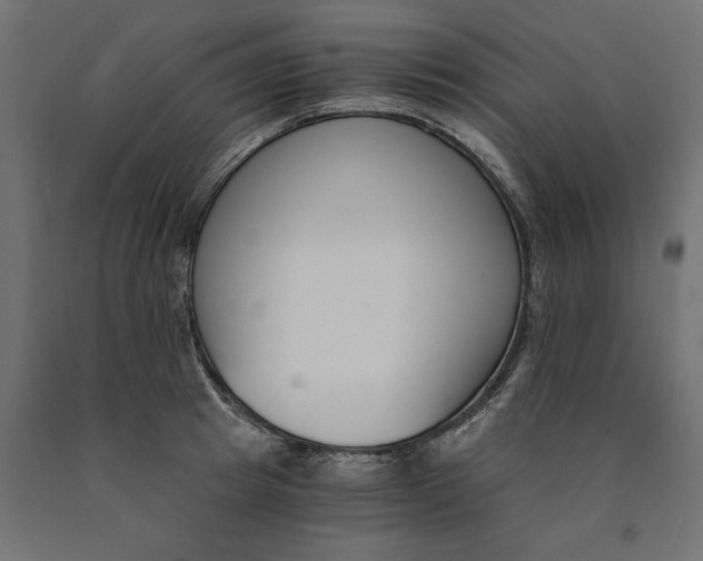 X0000090740849200708031544