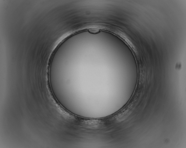 X0000090740853200708031544