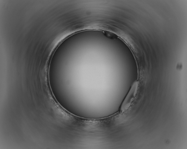 X0000090740854200708031544