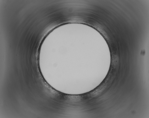 X0000090740856200708031544