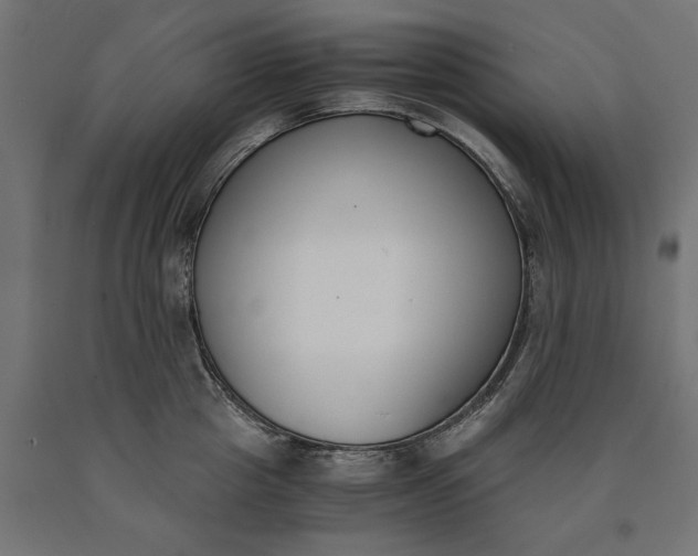 X0000090740857200708031544