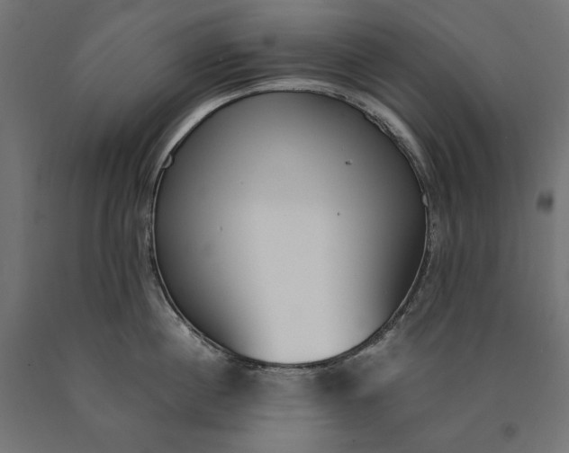 X0000090740860200708031544