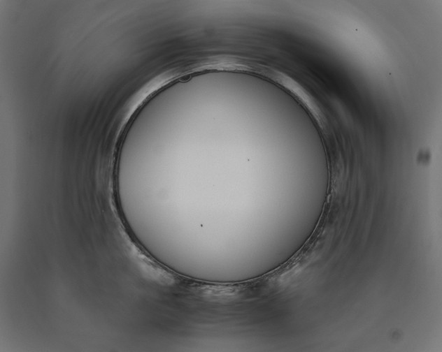 X0000090740861200708031544