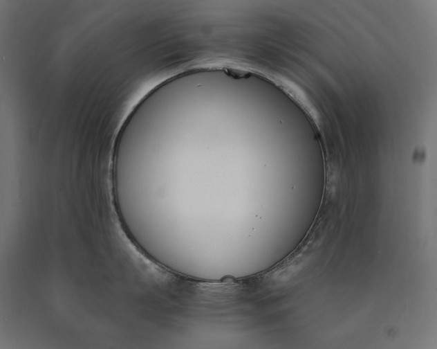 X0000090740863200708031544