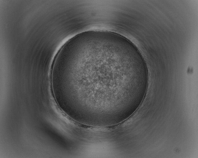 X0000090740864200708031544