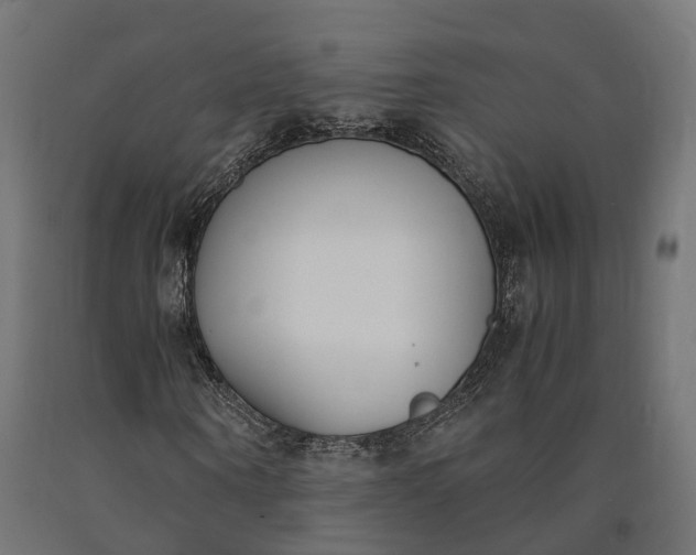 X0000090740866200708031543