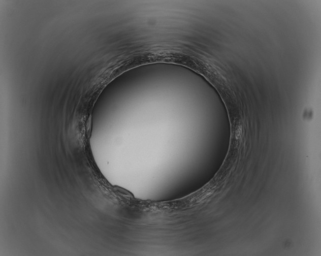 X0000090740868200708031543