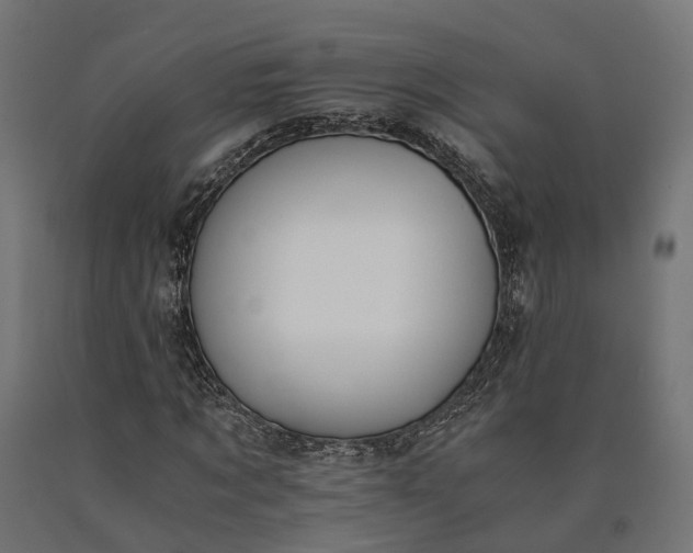 X0000090740869200708031543