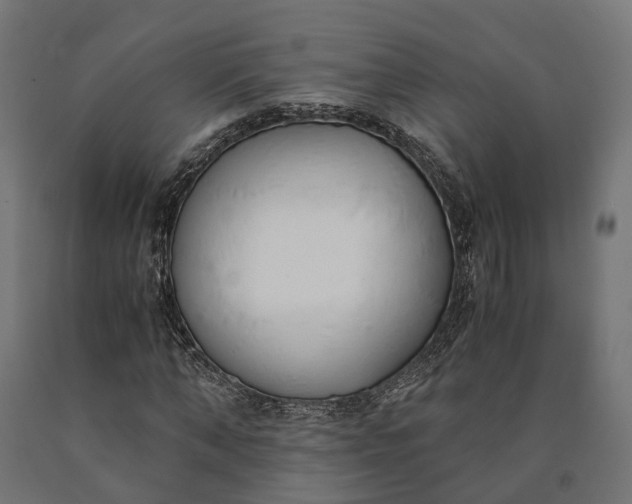 X0000090740870200708031543