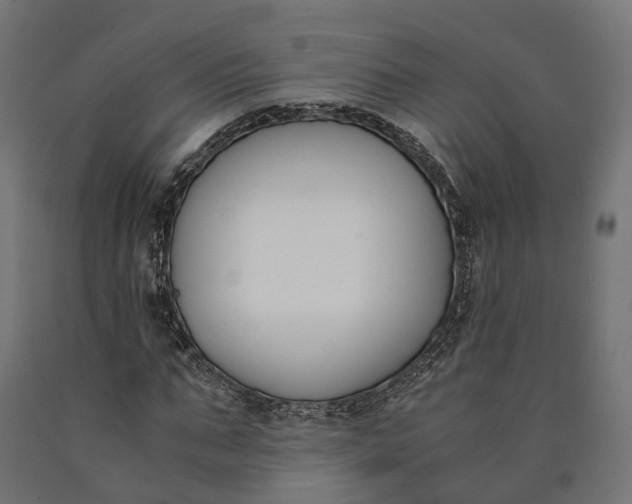 X0000090740871200708031543