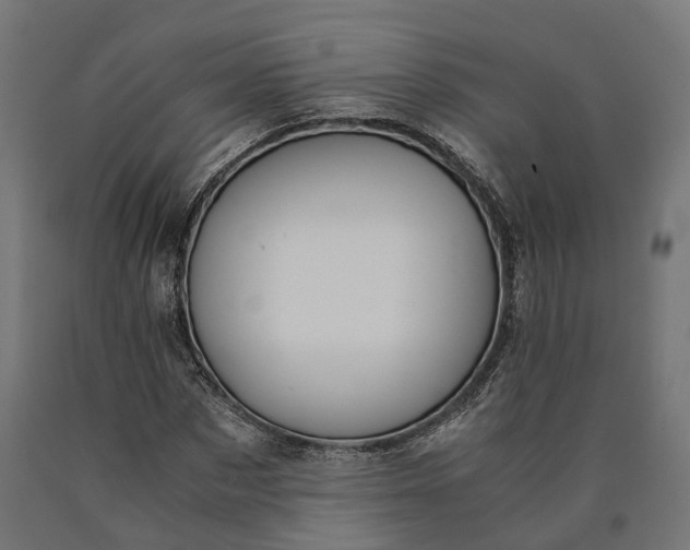 X0000090740873200708031543