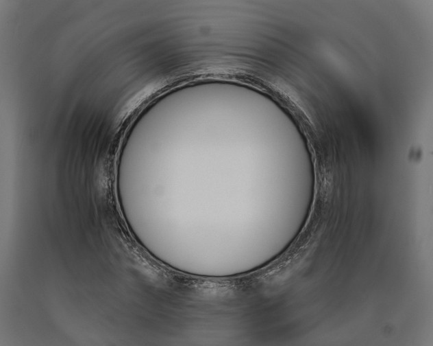 X0000090740874200708031543