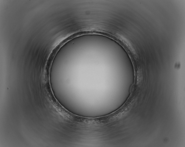 X0000090740876200708031543