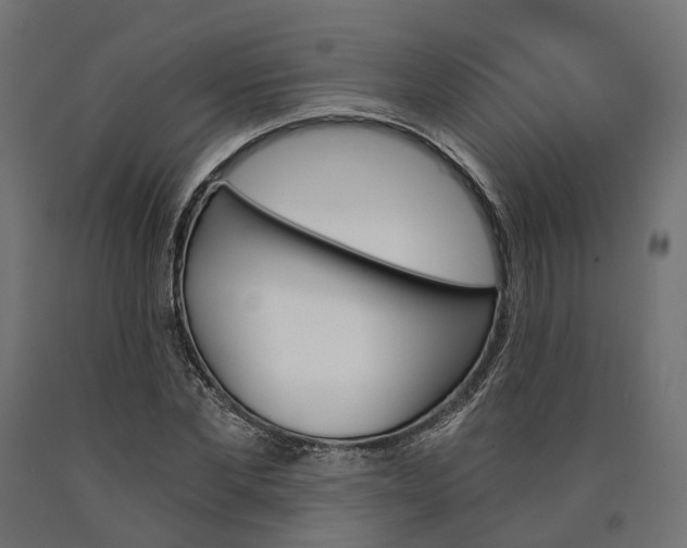 X0000090740877200708031543