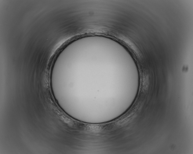 X0000090740878200708031543