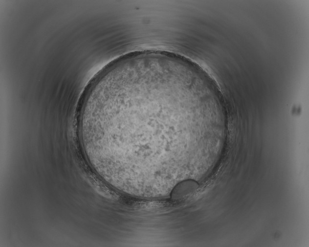 X0000090740879200708031543