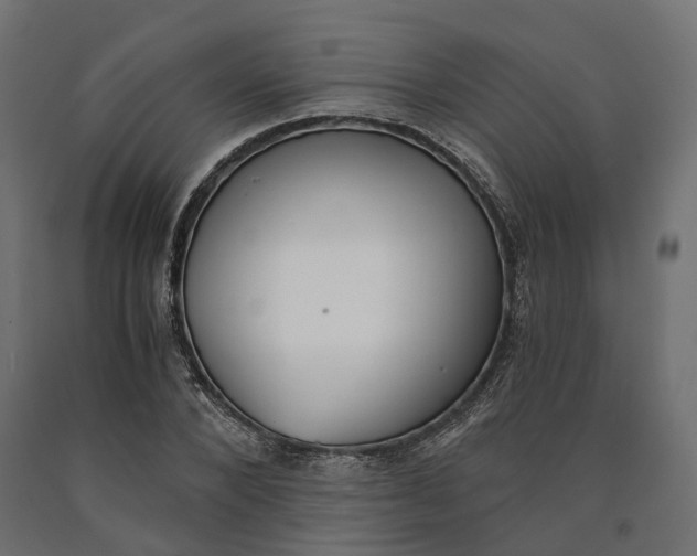 X0000090740880200708031543