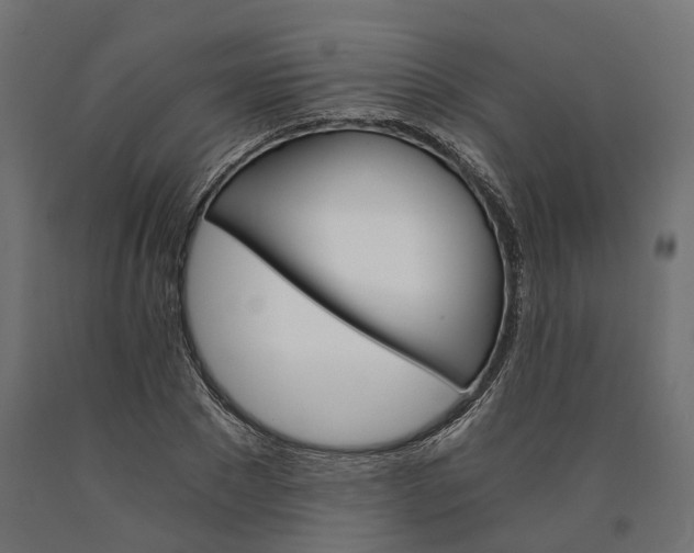 X0000090740881200708031543