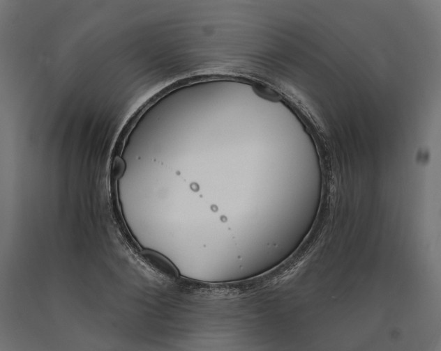 X0000090740884200708031543