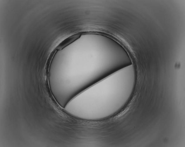 X0000090740885200708031543