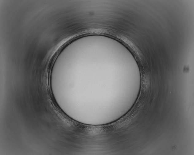 X0000090740886200708031543