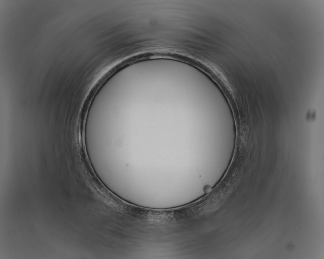 X0000090740887200708031543