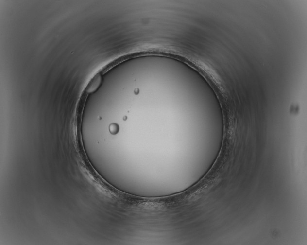 X0000090740888200708031543