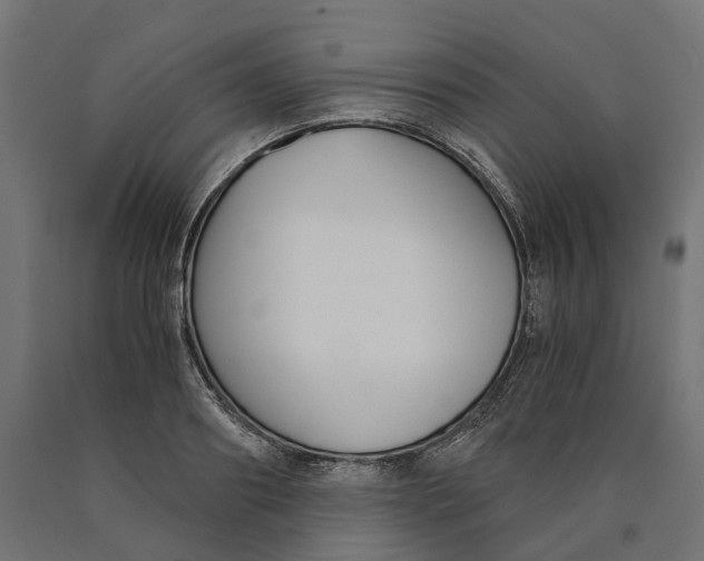 X0000090740890200708031543