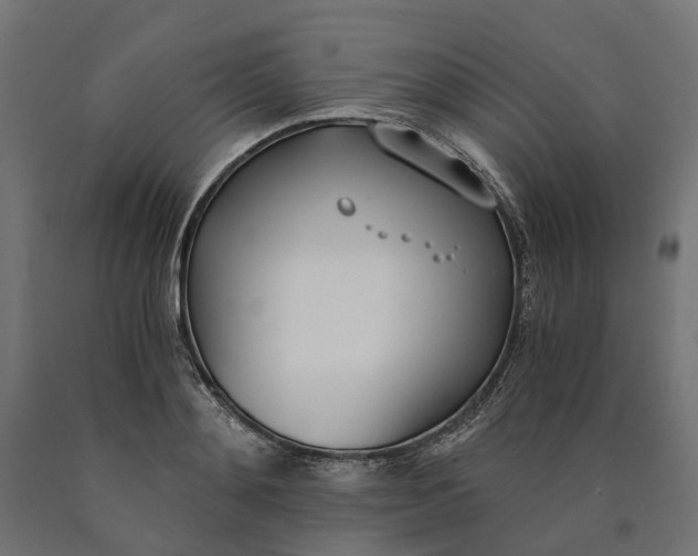 X0000090740892200708031543