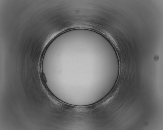 X0000090740893200708031543