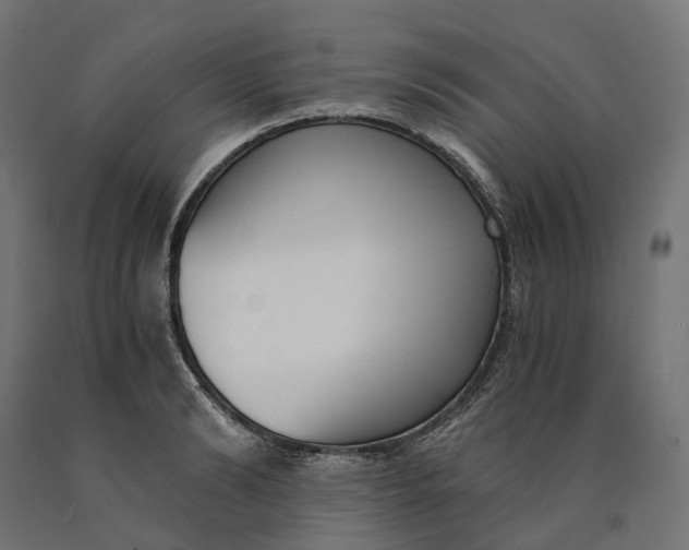 X0000090740894200708031543