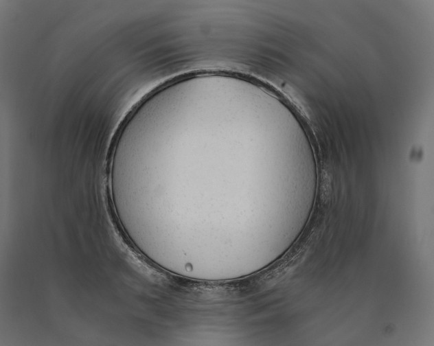 X0000090740895200708031543