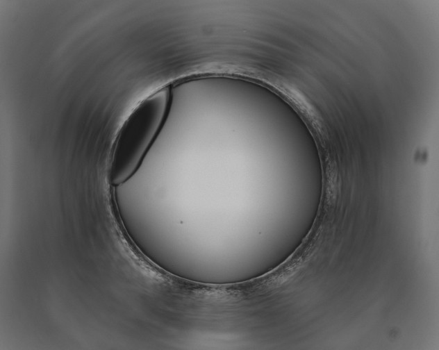 X0000090740896200708031543